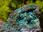 Natural Botryoidal and Fibrous Malachite Specimen with Goethite and Chrysocolla x 1 From Kolwezi, Congo