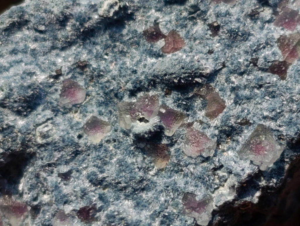 Natural Foitite Feldspar and Fluorite in a Fibrous Finger Formation x 1 From Erongo Mountain, Namibia