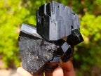 Natural Super Shiny Schorl Black Tourmaline Crystal Cluster x 1 From Erongo, Namibia