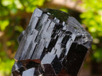Natural Super Shiny Schorl Black Tourmaline Crystal Cluster x 1 From Erongo, Namibia