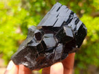 Natural Super Shiny Schorl Black Tourmaline Crystal Cluster x 1 From Erongo, Namibia