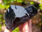 Natural Super Shiny Schorl Black Tourmaline Crystal Cluster x 1 From Erongo, Namibia
