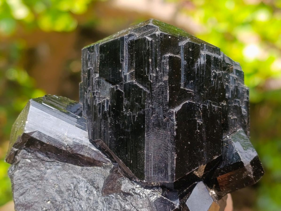 Natural Super Shiny Schorl Black Tourmaline Crystal Cluster x 1 From Erongo, Namibia