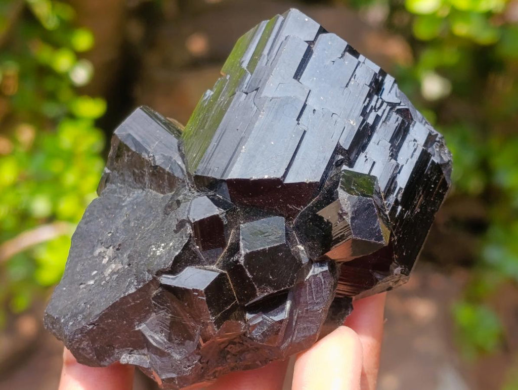 Natural Super Shiny Schorl Black Tourmaline Crystal Cluster x 1 From Erongo, Namibia