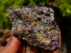 Natural Red Pyrope Garnet Crystals in a Biotite Mica Schist x 1 From Vumba, Mozambique
