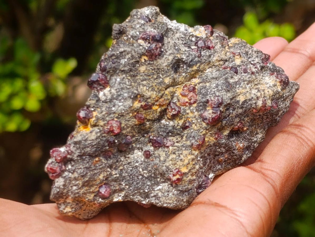 Natural Red Pyrope Garnet Crystals in a Biotite Mica Schist x 1 From Vumba, Mozambique