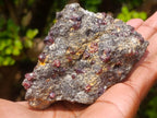 Natural Red Pyrope Garnet Crystals in a Biotite Mica Schist x 1 From Vumba, Mozambique