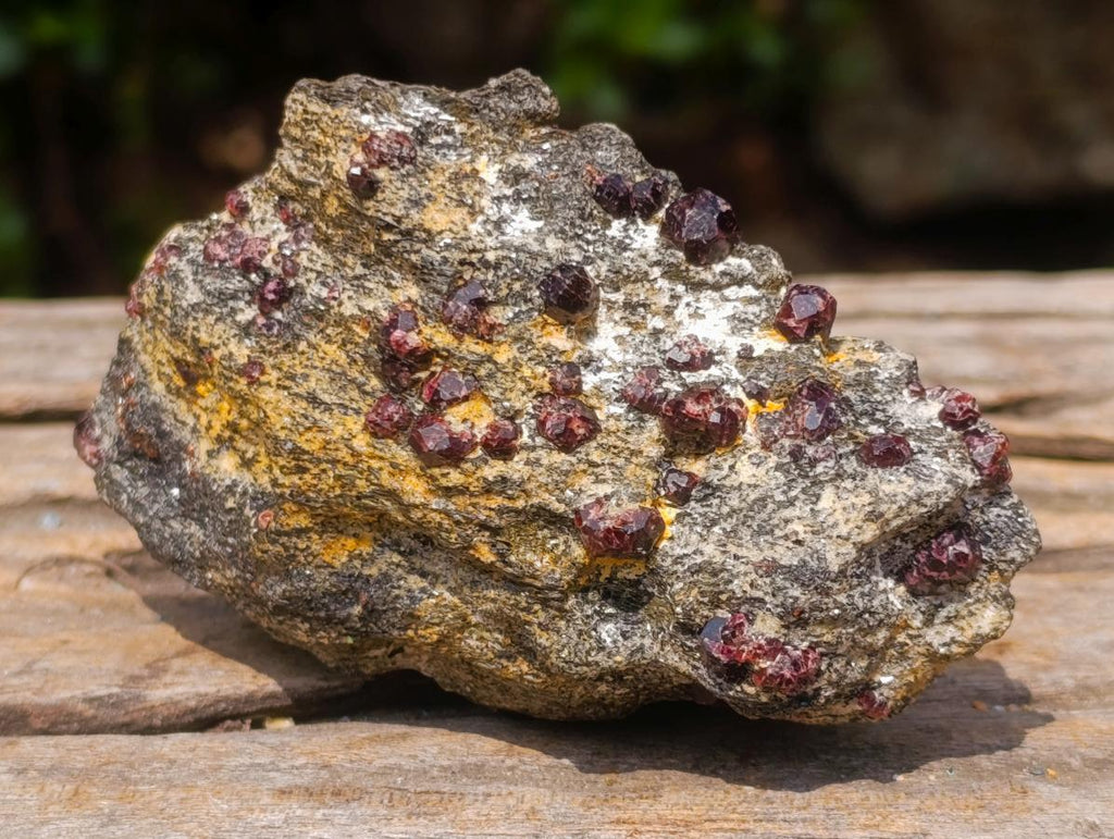 Natural Red Pyrope Garnet Crystals in a Biotite Mica Schist x 1 From Vumba, Mozambique