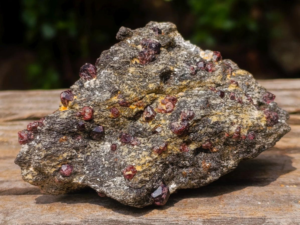 Natural Red Pyrope Garnet Crystals in a Biotite Mica Schist x 1 From Vumba, Mozambique