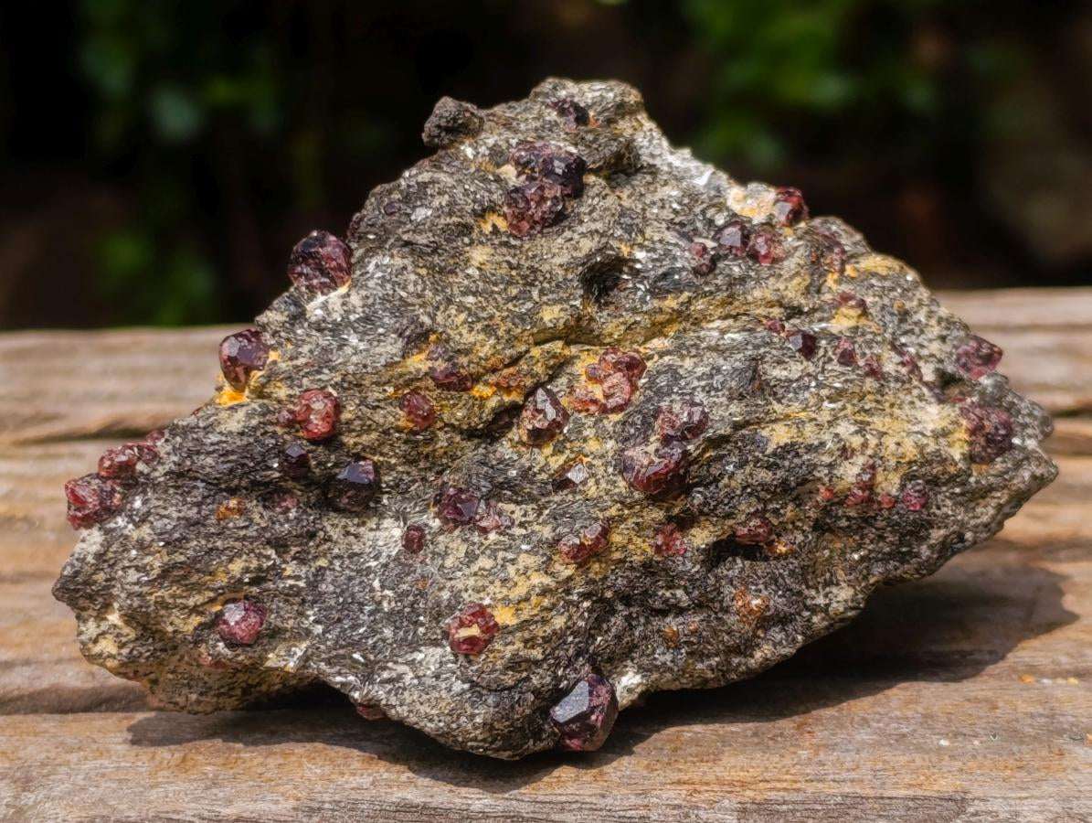 Natural Red Pyrope Garnet Crystals in a Biotite Mica Schist x 1 From Vumba, Mozambique