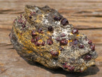 Natural Red Pyrope Garnet Crystals in a Biotite Mica Schist x 1 From Vumba, Mozambique