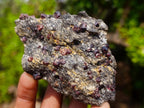 Natural Red Pyrope Garnet Crystals in a Biotite Mica Schist x 1 From Vumba, Mozambique