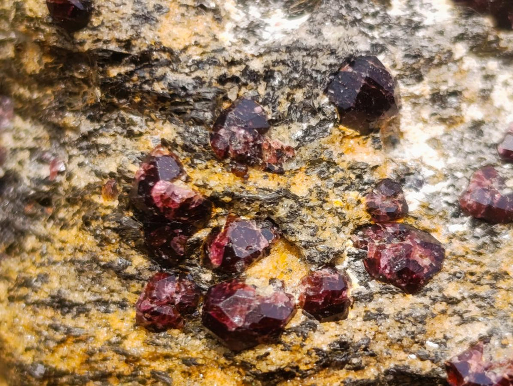 Natural Red Pyrope Garnet Crystals in a Biotite Mica Schist x 1 From Vumba, Mozambique