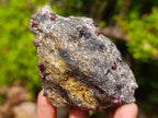 Natural Red Pyrope Garnet Crystals in a Biotite Mica Schist x 1 From Vumba, Mozambique