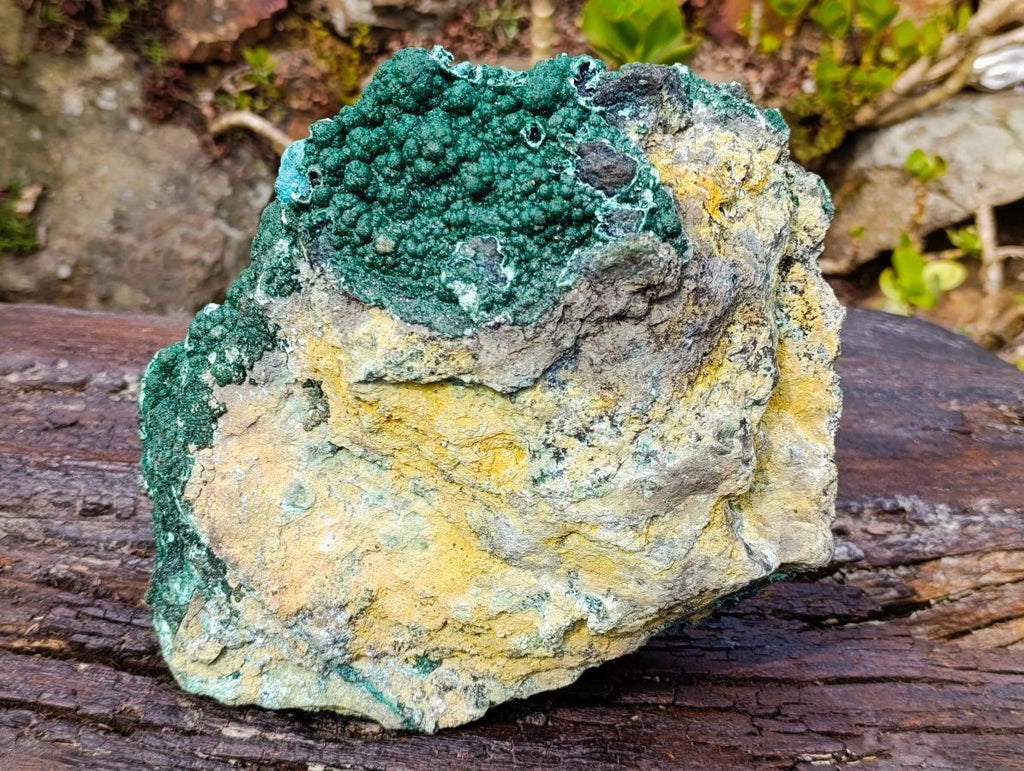 Natural Exquisite Extra Large Crystalline Botryoidal Malachite with Botryoidal Chrysocolla x 1 From Kulukuluku, Congo