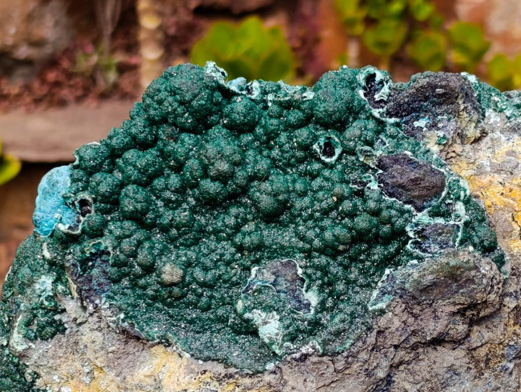 Natural Exquisite Extra Large Crystalline Botryoidal Malachite with Botryoidal Chrysocolla x 1 From Kulukuluku, Congo