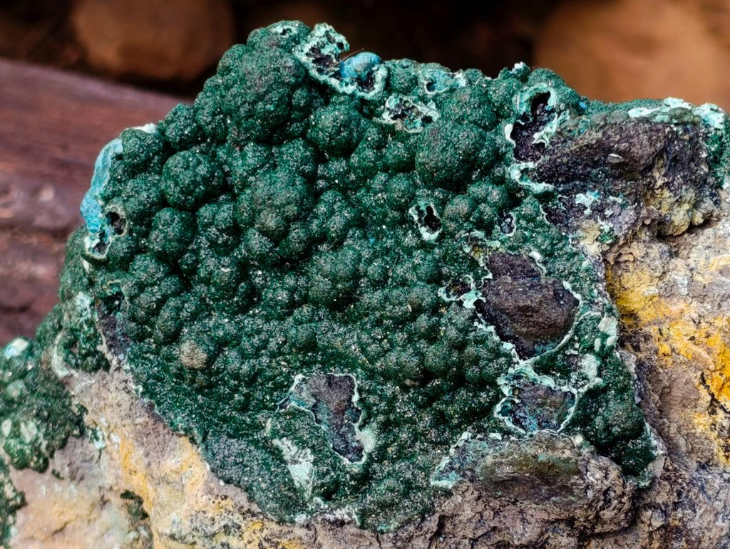 Natural Exquisite Extra Large Crystalline Botryoidal Malachite with Botryoidal Chrysocolla x 1 From Kulukuluku, Congo