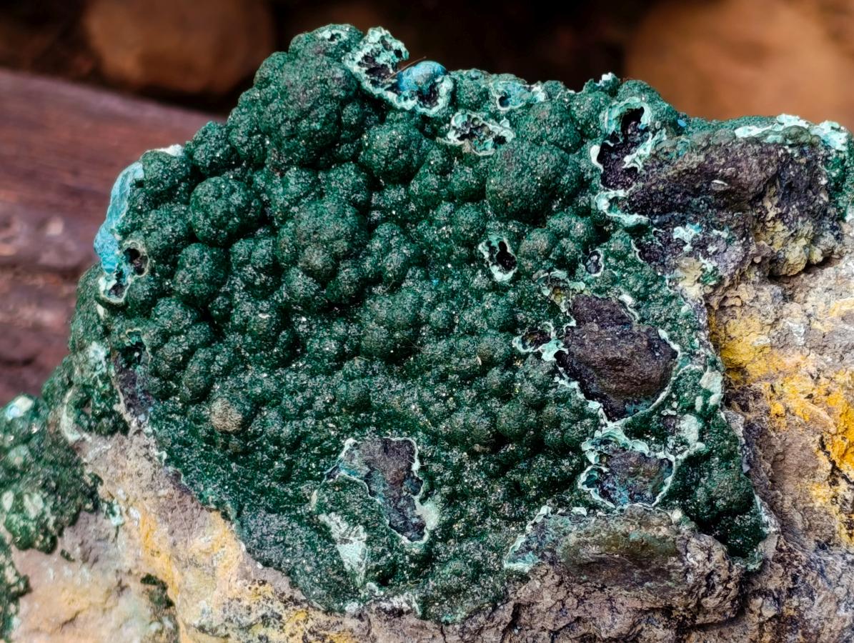 Natural Exquisite Extra Large Crystalline Botryoidal Malachite with Botryoidal Chrysocolla x 1 From Kulukuluku, Congo