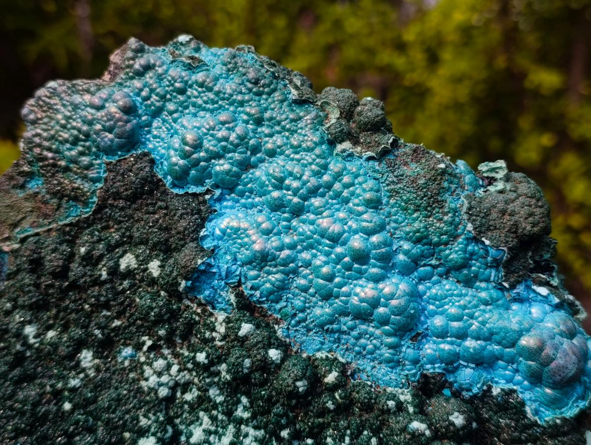 Natural Exquisite Extra Large Crystalline Botryoidal Malachite with Botryoidal Chrysocolla x 1 From Kulukuluku, Congo