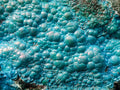 Natural Exquisite Extra Large Crystalline Botryoidal Malachite with Botryoidal Chrysocolla x 1 From Kulukuluku, Congo