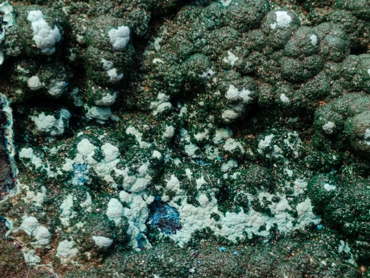 Natural Exquisite Extra Large Crystalline Botryoidal Malachite with Botryoidal Chrysocolla x 1 From Kulukuluku, Congo