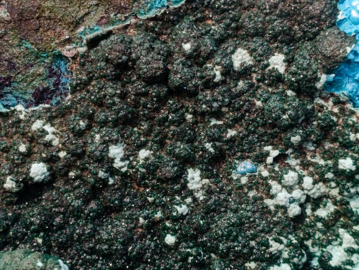 Natural Exquisite Extra Large Crystalline Botryoidal Malachite with Botryoidal Chrysocolla x 1 From Kulukuluku, Congo