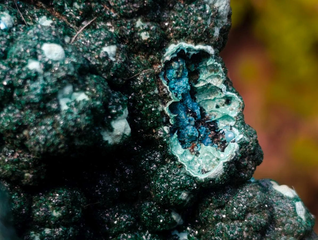 Natural Exquisite Extra Large Crystalline Botryoidal Malachite with Botryoidal Chrysocolla x 1 From Kulukuluku, Congo