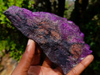 Hand Made Super Rare Sugilite Laughing Buddha (Maitreya) Under a Blossoming Tree x 1 From Wessels Mine, South Africa
