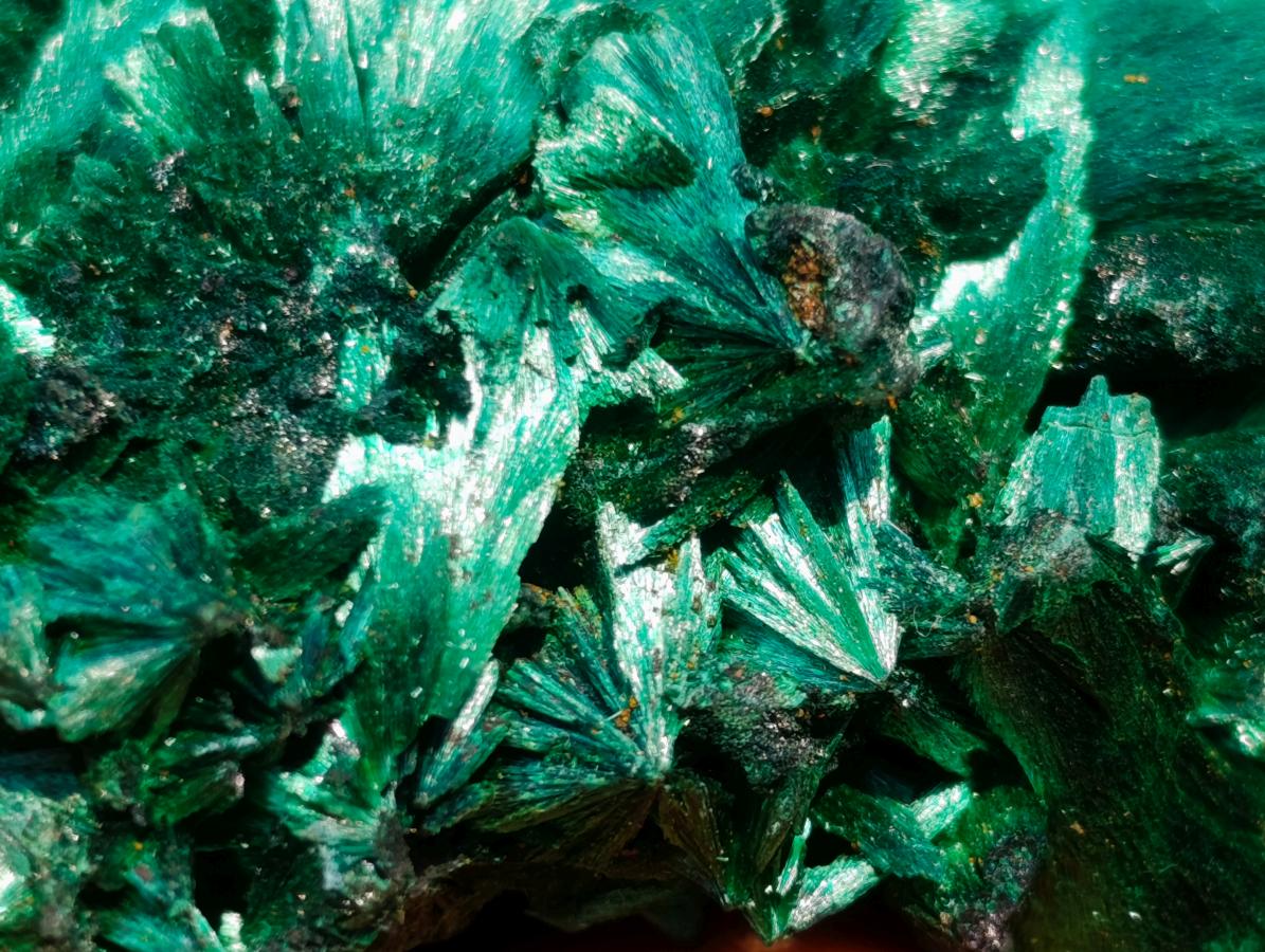 Natural Superb Silky Malachite Chatoyant Crystal Flower Specimen x 1 From Kasompe, Congo
