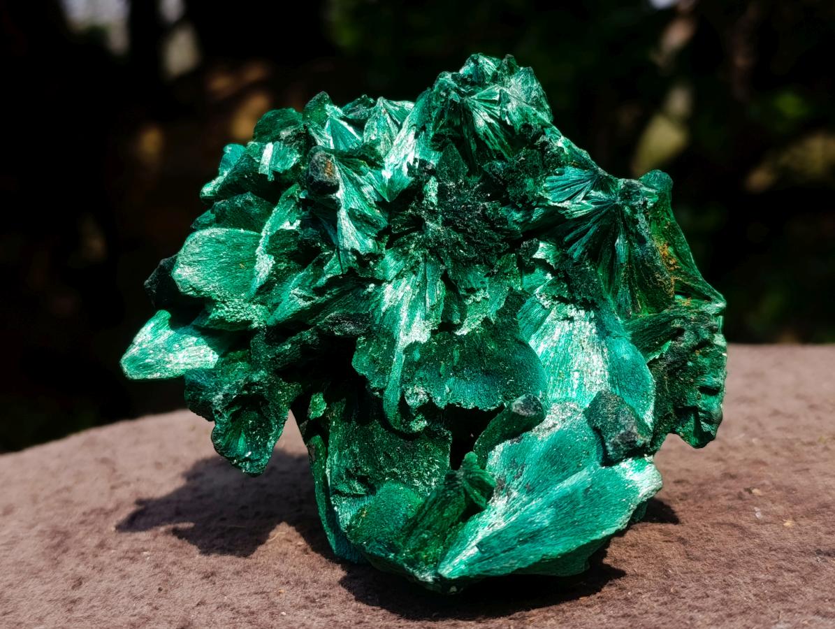Natural Superb Silky Malachite Chatoyant Crystal Flower Specimen x 1 From Kasompe, Congo