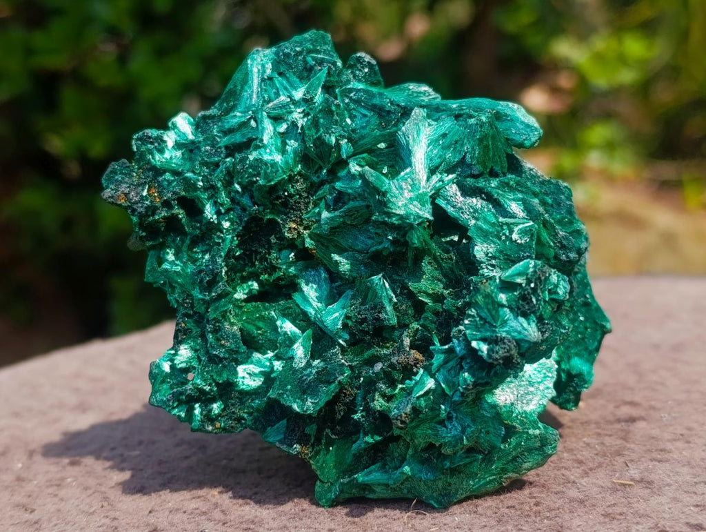 Natural Superb Silky Malachite Chatoyant Crystal Flower Specimen x 1 From Kasompe, Congo