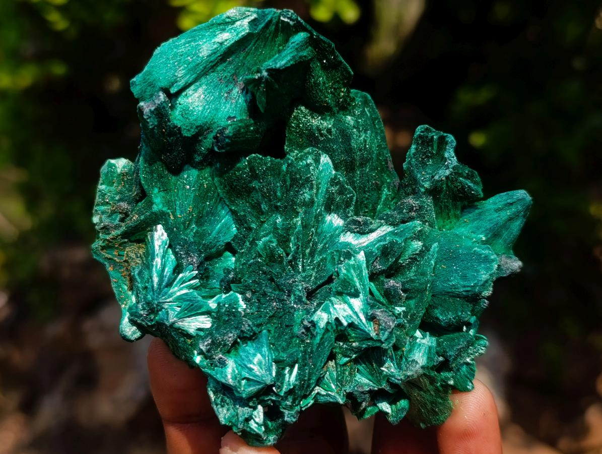 Natural Superb Silky Malachite Chatoyant Crystal Flower Specimen x 1 From Kasompe, Congo