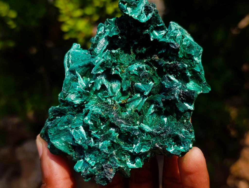 Natural Superb Silky Malachite Chatoyant Crystal Flower Specimen x 1 From Kasompe, Congo
