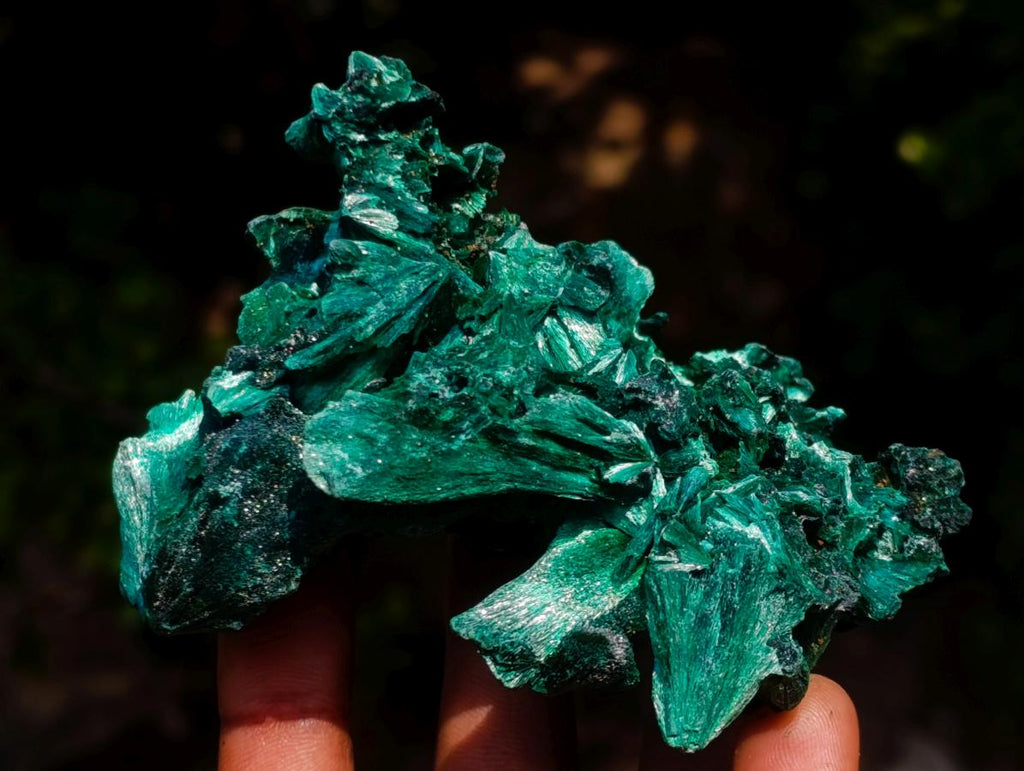Natural Superb Silky Malachite Chatoyant Crystal Flower Specimen x 1 From Kasompe, Congo