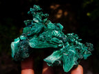Natural Superb Silky Malachite Chatoyant Crystal Flower Specimen x 1 From Kasompe, Congo