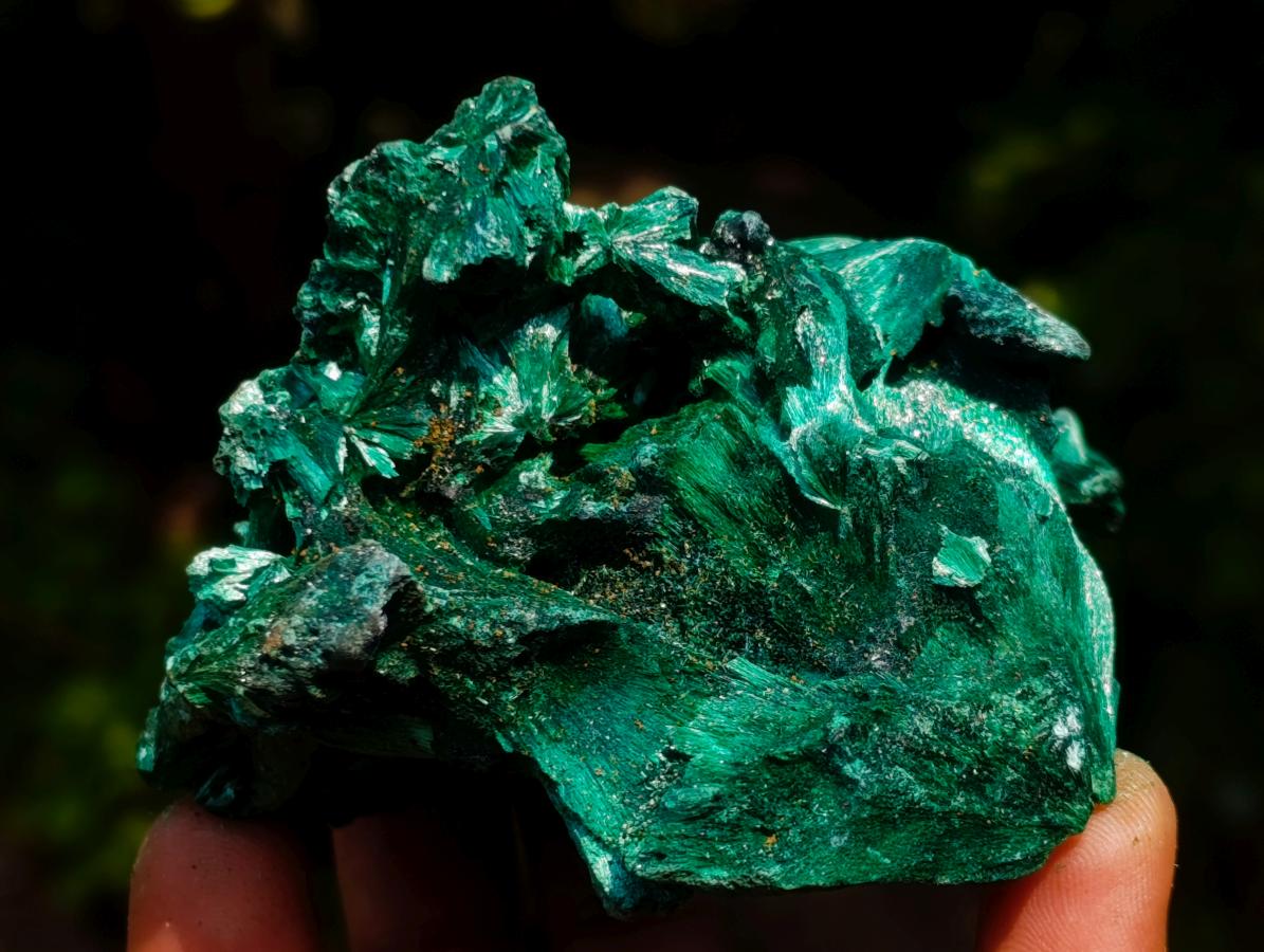 Natural Superb Silky Malachite Chatoyant Crystal Flower Specimen x 1 From Kasompe, Congo
