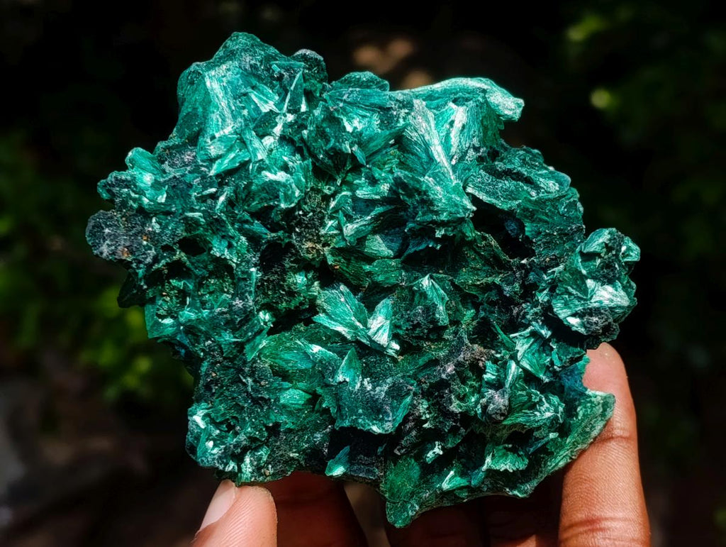 Natural Superb Silky Malachite Chatoyant Crystal Flower Specimen x 1 From Kasompe, Congo