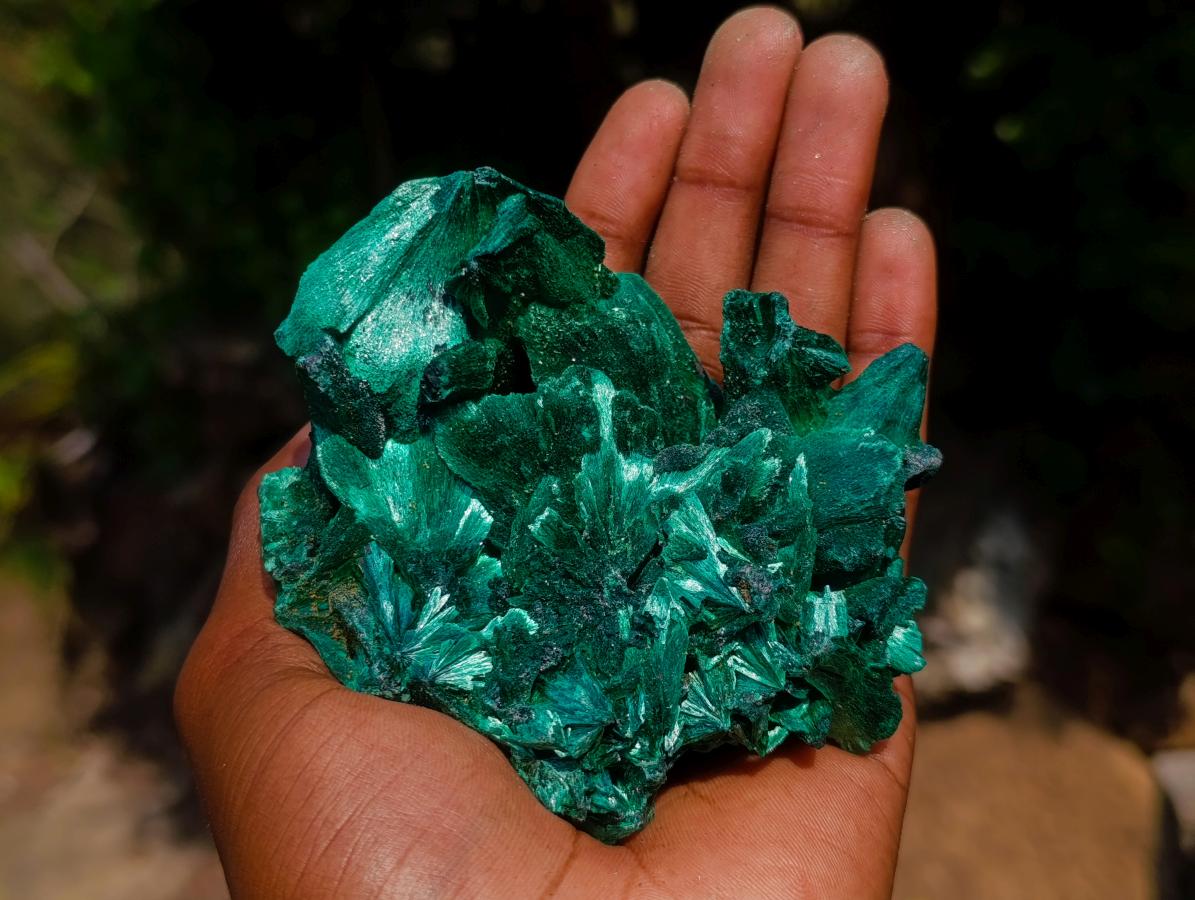 Natural Superb Silky Malachite Chatoyant Crystal Flower Specimen x 1 From Kasompe, Congo