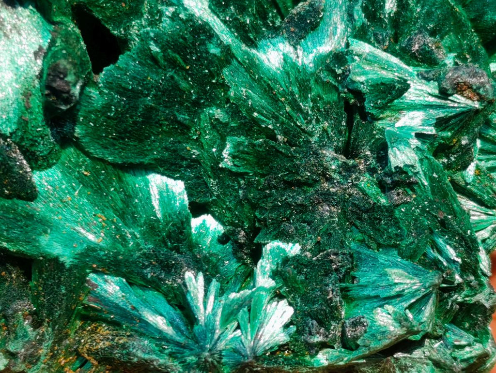 Natural Superb Silky Malachite Chatoyant Crystal Flower Specimen x 1 From Kasompe, Congo