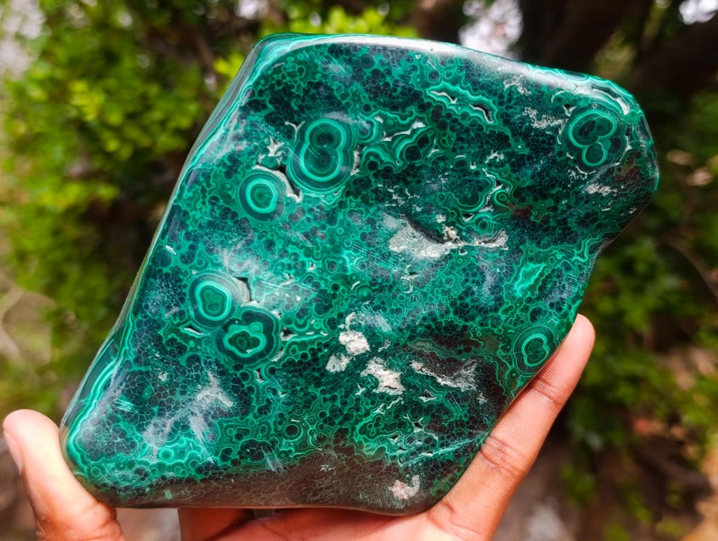 Polished Perfect Ring-Eye Patterned Malachite Gemstone Plate Specimen x 1 From Kolwezi, Congo