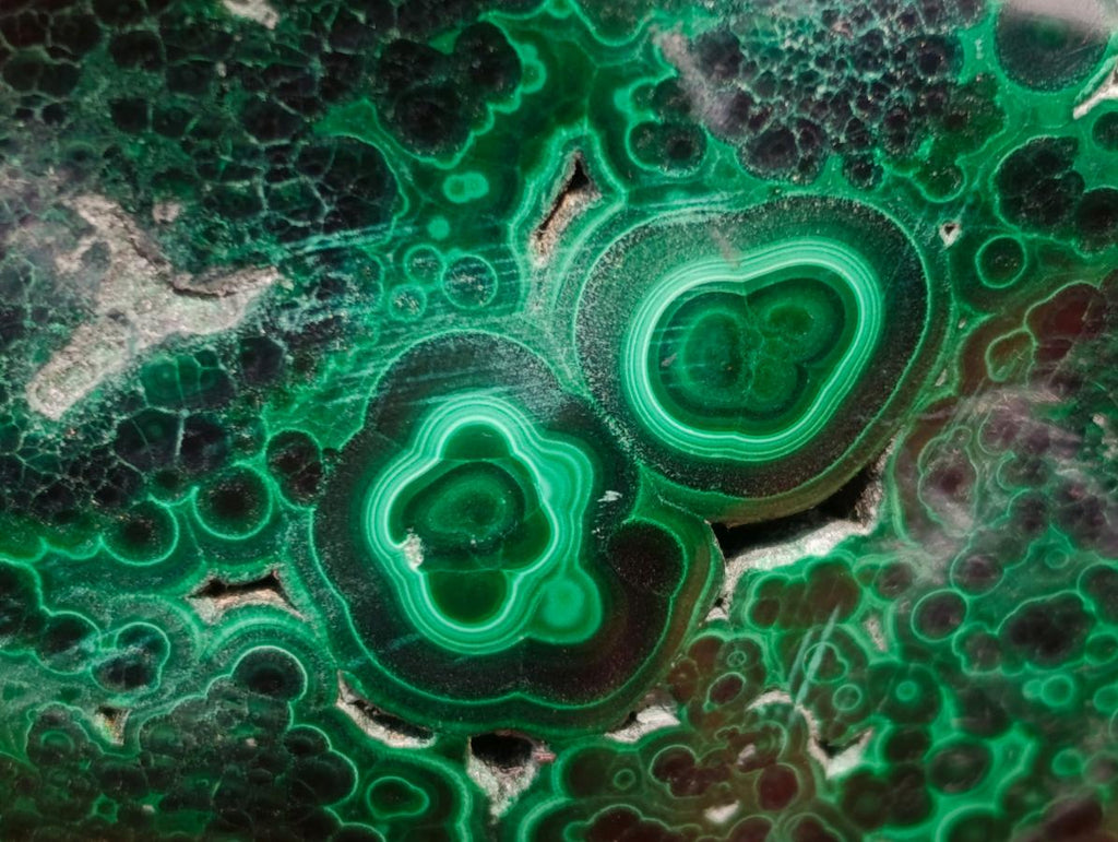Polished Perfect Ring-Eye Patterned Malachite Gemstone Plate Specimen x 1 From Kolwezi, Congo