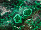 Polished Perfect Ring-Eye Patterned Malachite Gemstone Plate Specimen x 1 From Kolwezi, Congo