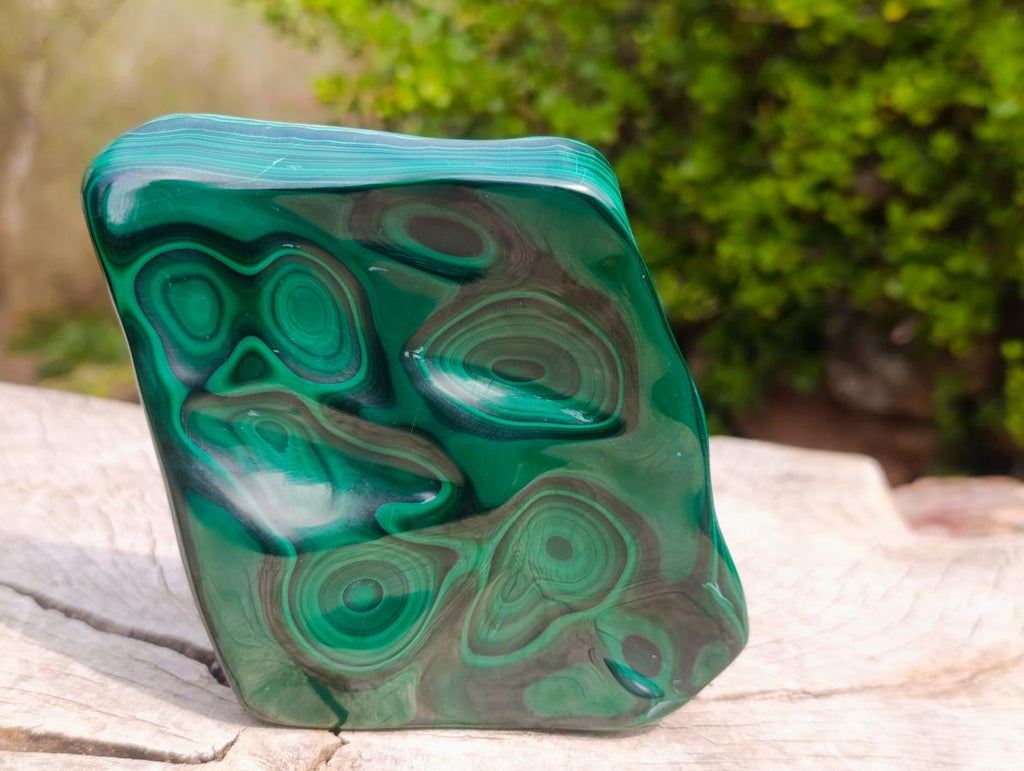 Polished Perfect Ring-Eye Patterned Malachite Gemstone Plate Specimen x 1 From Kolwezi, Congo