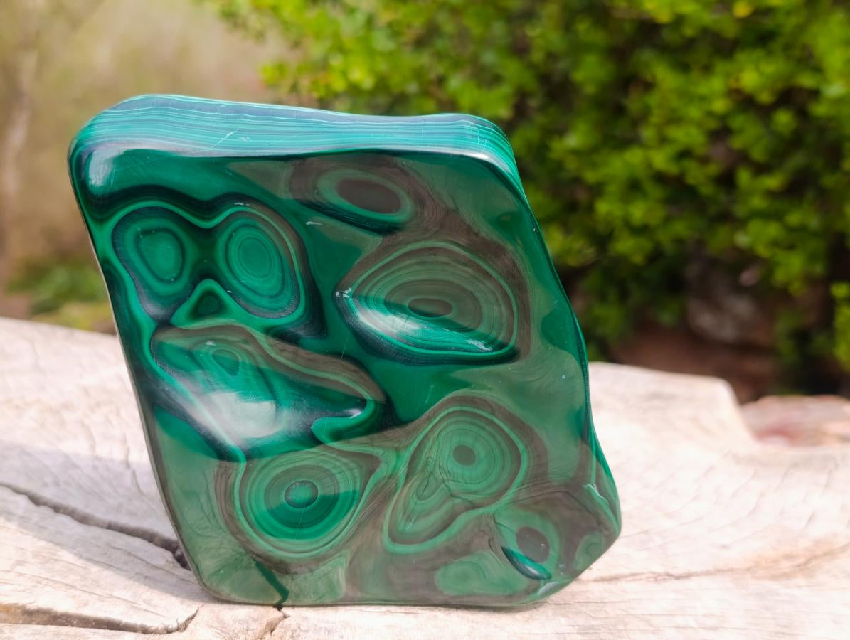 Polished Perfect Ring-Eye Patterned Malachite Gemstone Plate Specimen x 1 From Kolwezi, Congo