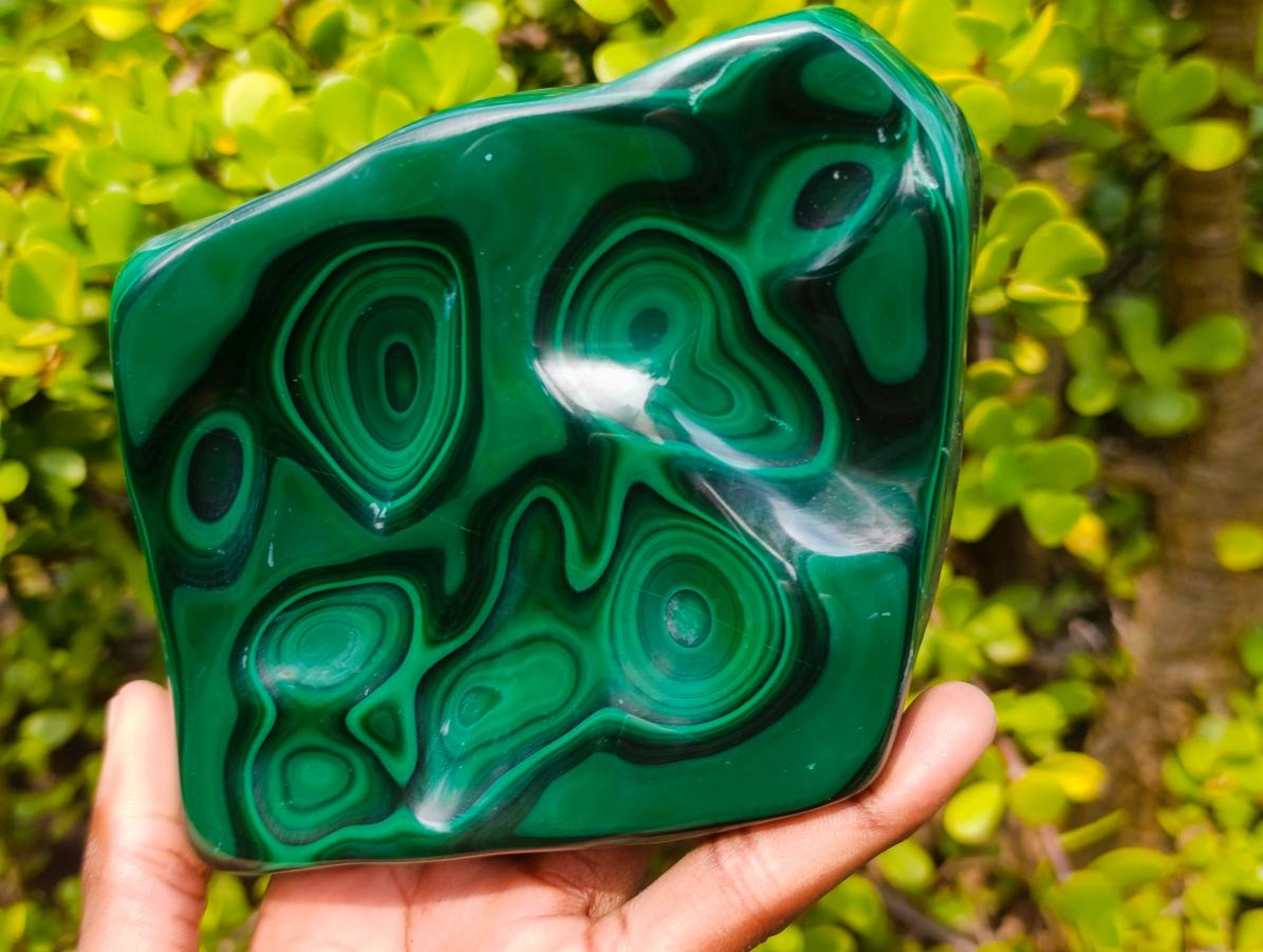 Polished Perfect Ring-Eye Patterned Malachite Gemstone Plate Specimen x 1 From Kolwezi, Congo