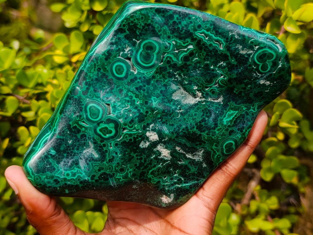 Polished Perfect Ring-Eye Patterned Malachite Gemstone Plate Specimen x 1 From Kolwezi, Congo
