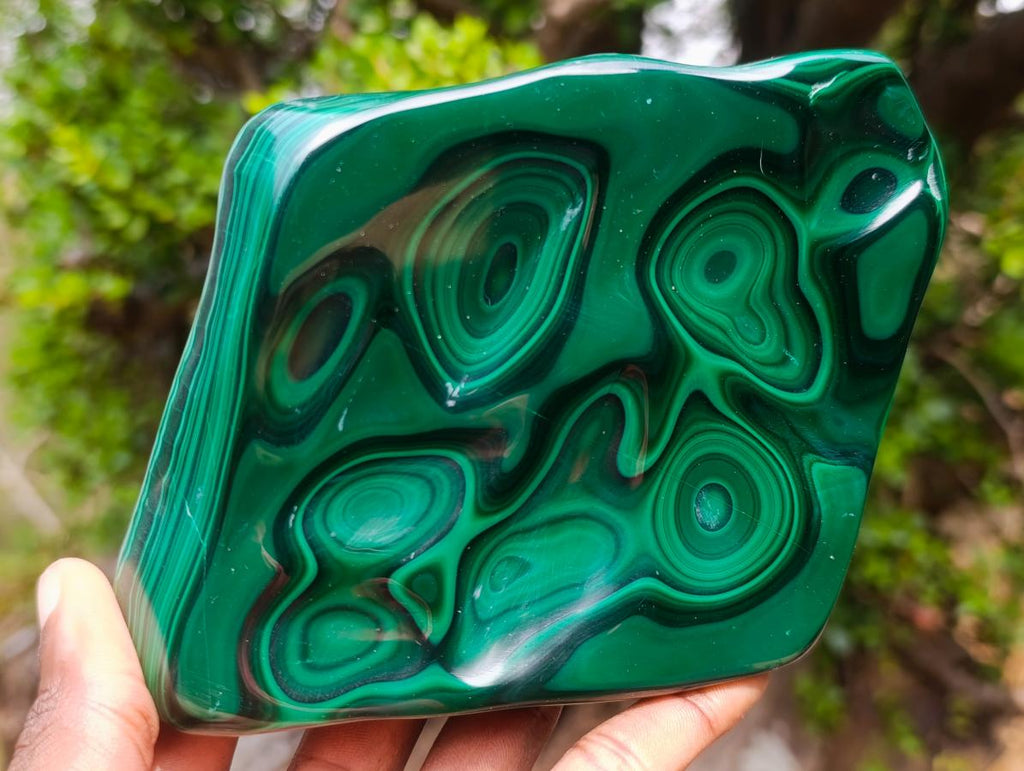 Polished Perfect Ring-Eye Patterned Malachite Gemstone Plate Specimen x 1 From Kolwezi, Congo