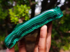 Polished Perfect Ring-Eye Patterned Malachite Gemstone Plate Specimen x 1 From Kolwezi, Congo