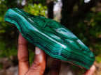 Polished Perfect Ring-Eye Patterned Malachite Gemstone Plate Specimen x 1 From Kolwezi, Congo