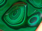 Polished Perfect Ring-Eye Patterned Malachite Gemstone Plate Specimen x 1 From Kolwezi, Congo